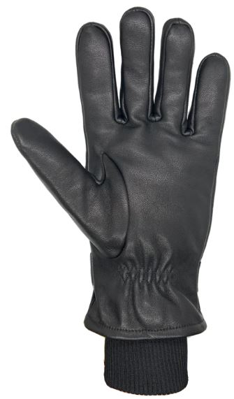 Owen Leather Gloves | Auclair