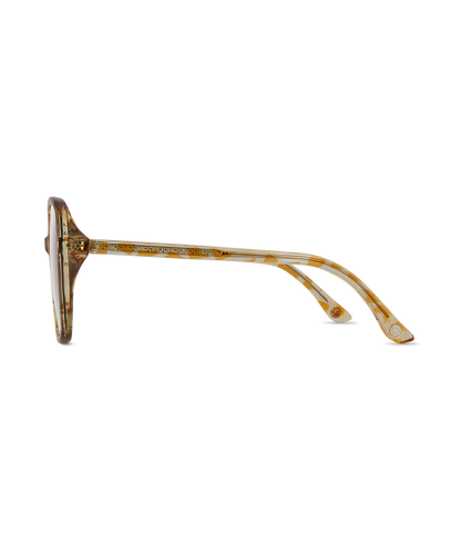Women's Halcyon Sunglasses | Wollumbin