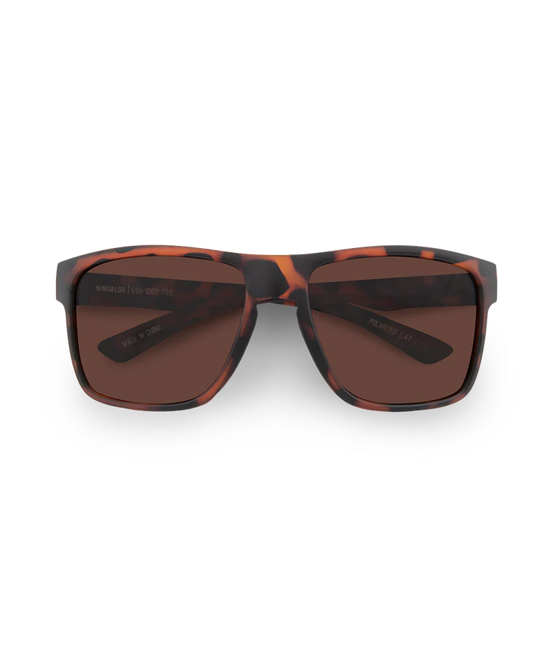 Universal Ningaloo Sunglasses | Wollumbin
