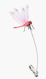 The Dragonfly Wingman | Dragonfly Wingman