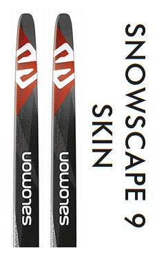 SALE! Snowscape Skin, SMALL Classic Nordic Ski Salomon